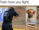 1674526909832.png