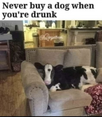 1674534819538.png