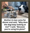 plate.png