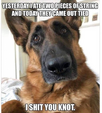 4EBEC078-5D17-422E-B629-F98C49E0AE2E.png