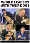BvrXwI7.png