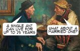 2 (1).jpg