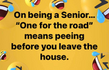 1657477273066.png