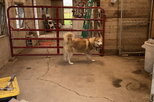IMG_0506.jpeg