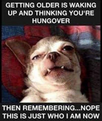 1686082062951.png