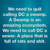 swamp.png