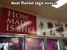 1686242540738.png