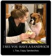 dog sandwich.jpg
