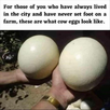 1687215099425.png