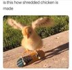 Fx0oxVOXoAIzB5F.jpg