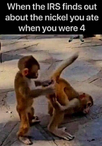 1688000205084.png