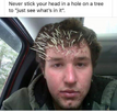 1689006448029.png