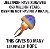 1689612902061.png