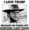 1690073908049.png