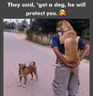 1690397998640.png