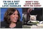 1690912787173.png