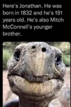 1690913846679.png