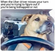 1691032692779.png