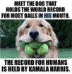 1691157604476.png
