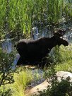 IMG_1966.jpeg