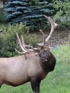 IMG_1941.jpeg
