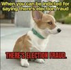 fraud.jpeg