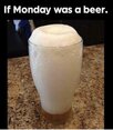 IMG_2392.jpeg