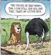 FB_IMG_1691442428704.jpg
