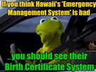 birth cert.png