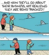 tracked.png