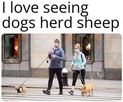 1695429730183.png