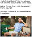 possums.jpg