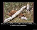 Health 'n Safety.jpg