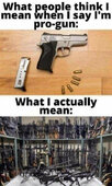 pro gun.jpg