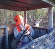deer 2.jpg