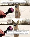 FB_IMG_1697597408552.jpg