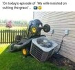wife.jpeg