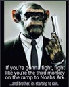 1698839618712.png