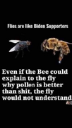 1699146149044.png