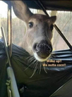 1699488851734.png