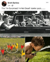 1699646617437.png