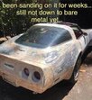 vette.jpg