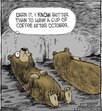 FB_IMG_1699763404037.jpg