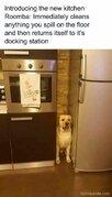 1701711214179.jpeg