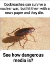 1702319995127.png
