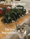 1702515442801.png