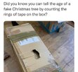 FB_IMG_1702421465487.jpg