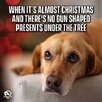 FB_IMG_1702951752546.jpg