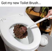 1703303525773.png