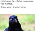 1703438207407.png